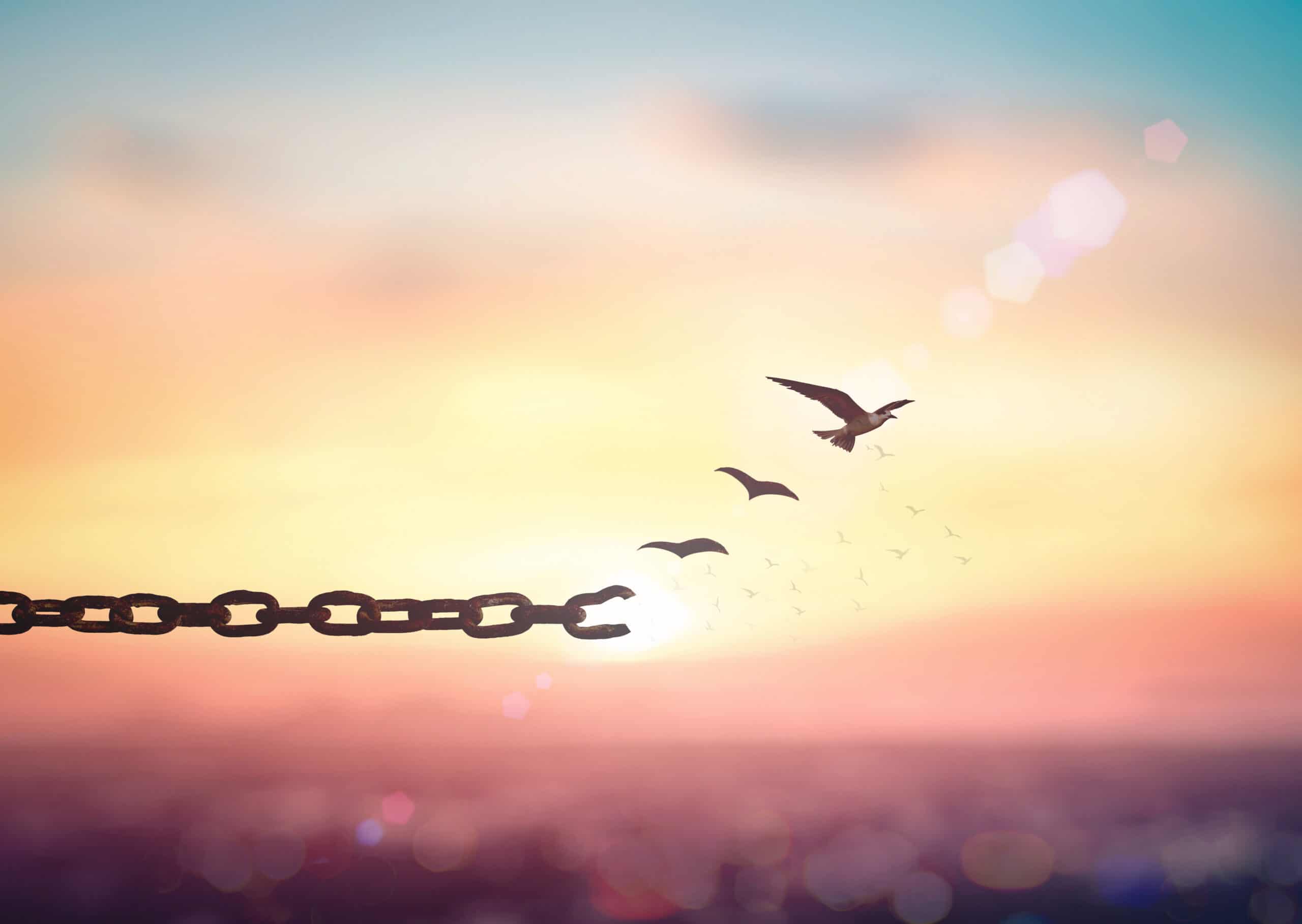 Chains and birds, podcast episode called The Desire for Dopamine: Understanding What Drives Addiction with Dr. Daniel Z. Lieberman MD, Mike Long & Travis Lupick