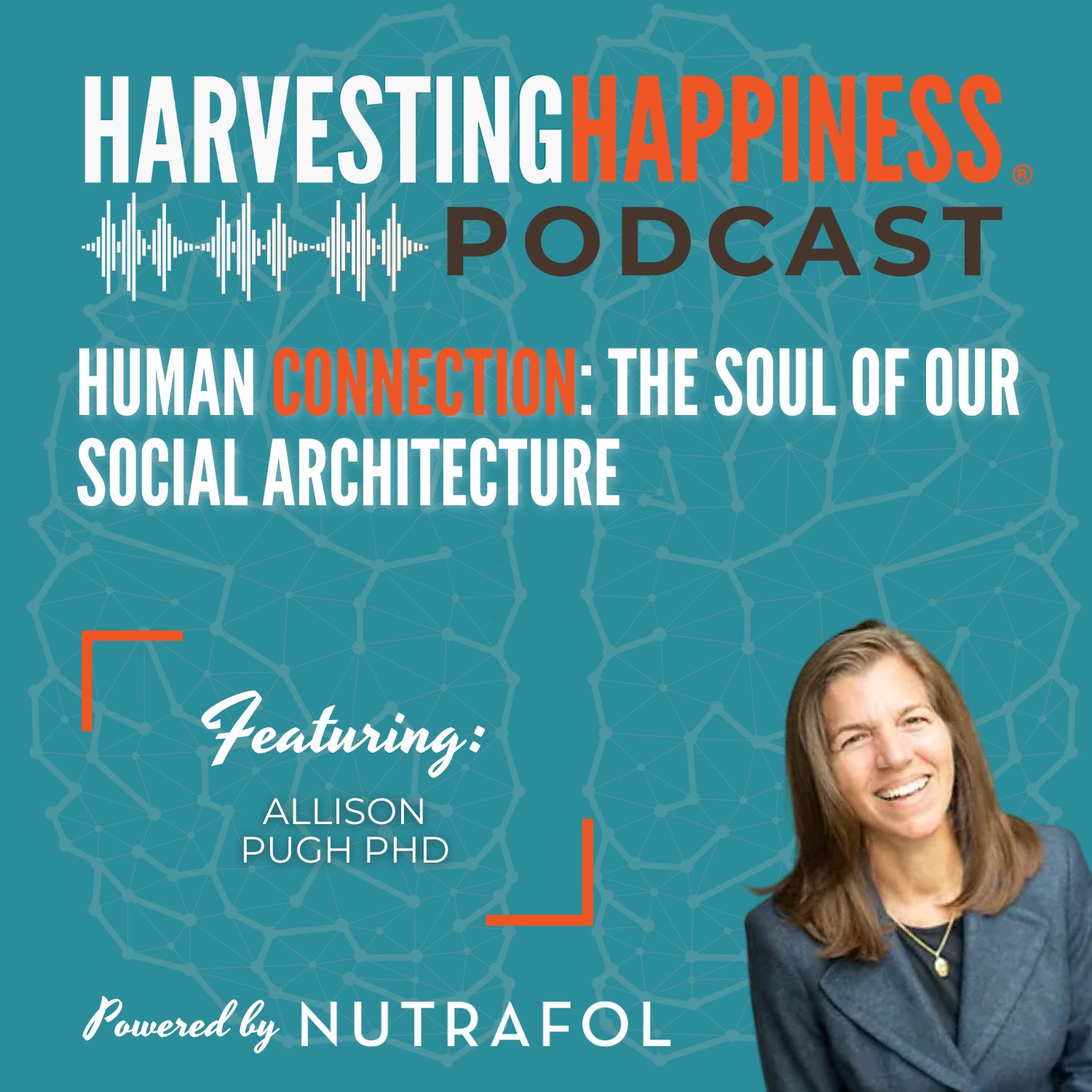 Human Connection: The Soul of Our Social Architecture with Allison Pugh PhD