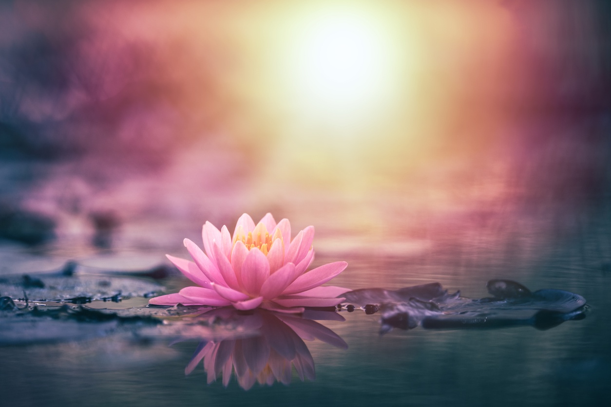 Well-Being Science From Despair to Hope and Happiness with Carol Graham PhD with Lisa Cypers Kamen
